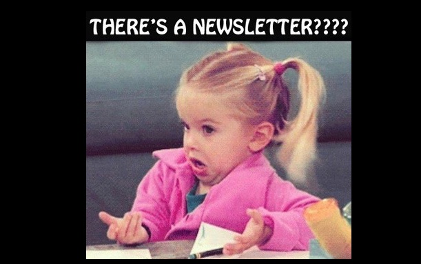 Racine Rotary Newsletter