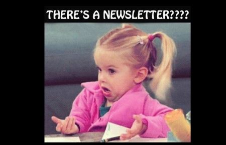 Racine Rotary Newsletter